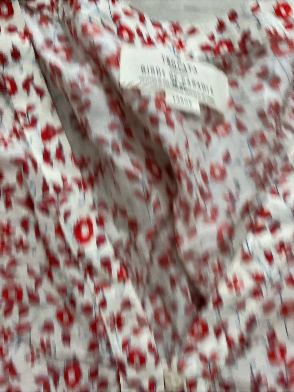 Trovata Birds of Paradis Women’s Rae Dress Red Ivy Floral Sleeveless Size Large - Picture 4 of 9